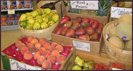 458 Bed and Breakfast